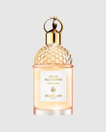 Aqua Allegoria Pamplelune