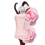 DELINA EXCLUSIF – Image 2