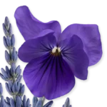 PALATINE – Image 2