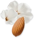 VALAYA EXCLUSIF – Image 3