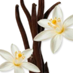 ALTHAÏR – Image 4