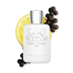 GALLOWAY – Image 4