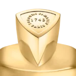 GODOLPHIN – Image 4