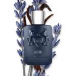 LAYTON EXCLUSIF – Image 3