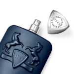 LAYTON EXCLUSIF – Image 4