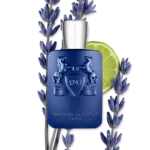 PERCIVAL – Image 4